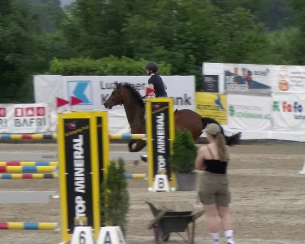 Reitturnier Ruswil 2025