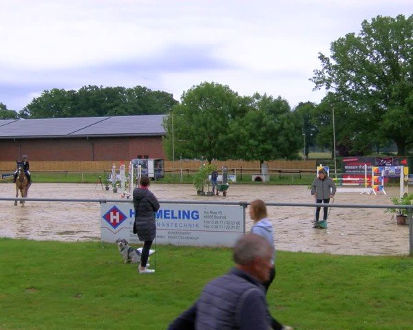 Reitturnier Coesfeld/Lette 2025