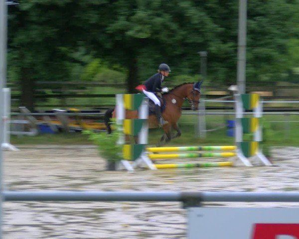 Reitturnier Coesfeld/Lette 2025