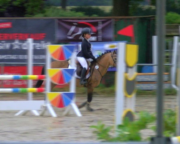 Reitturnier Coesfeld/Lette 2025