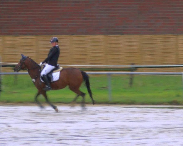 Reitturnier Coesfeld/Lette 2025