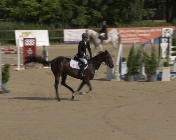 Reitturnier Schönfeld 2025