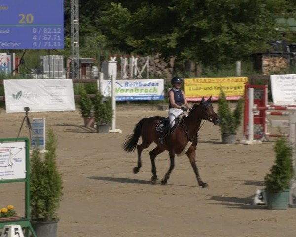Reitturnier Schönfeld 2025