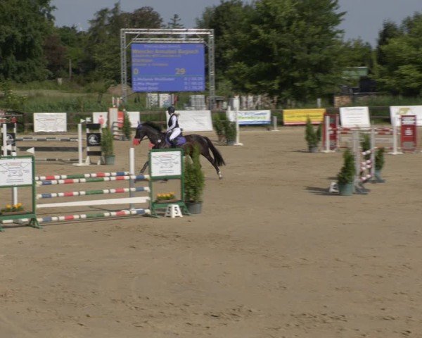 Reitturnier Schönfeld 2025