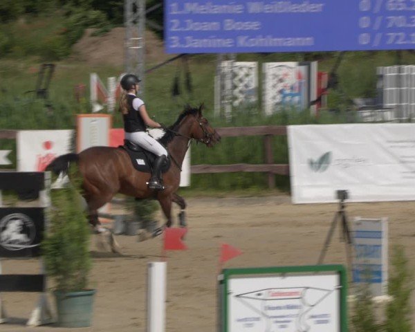 Reitturnier Schönfeld 2025