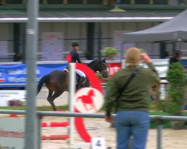 Reitturnier Coesfeld/Lette 2025