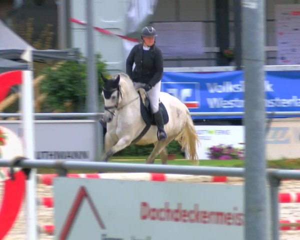 Reitturnier Coesfeld/Lette 2025