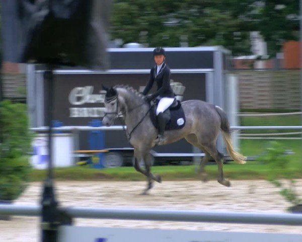Reitturnier Coesfeld/Lette 2025