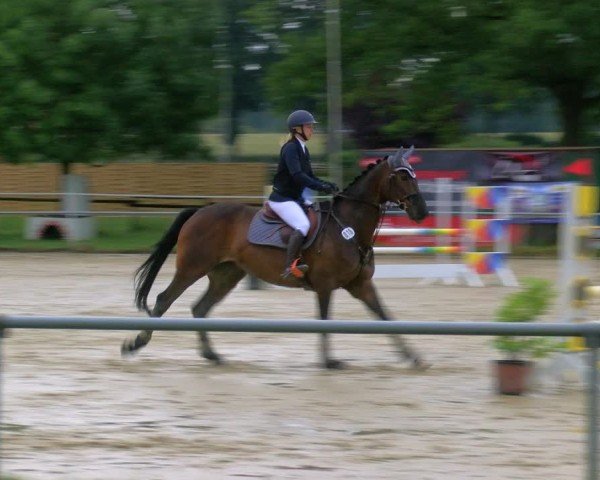 Reitturnier Coesfeld/Lette 2025