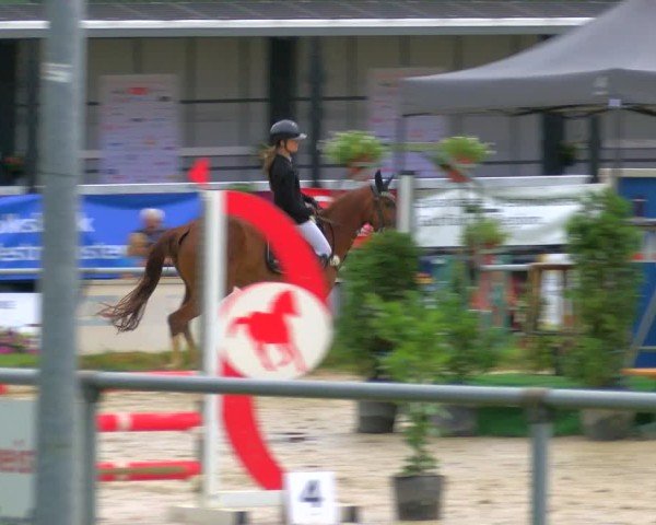 Reitturnier Coesfeld/Lette 2025