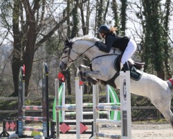 jumper Lidewey O'Hara (KWPN (Royal Dutch Sporthorse), 2016, from Dakar VDL)
