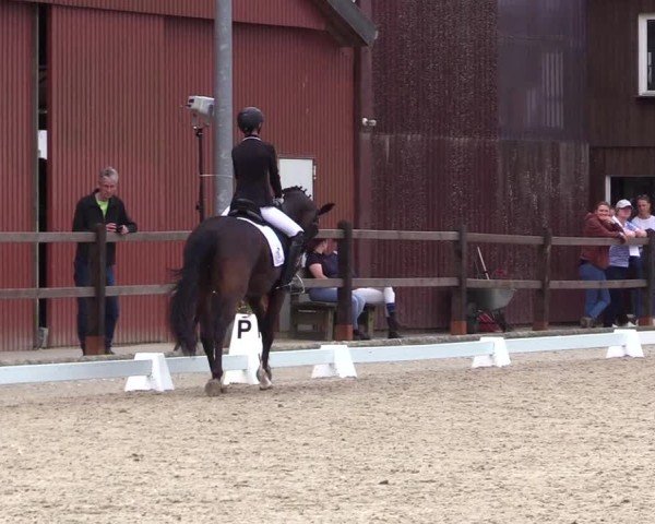 Reitturnier Sörup Dressurturnier 2025