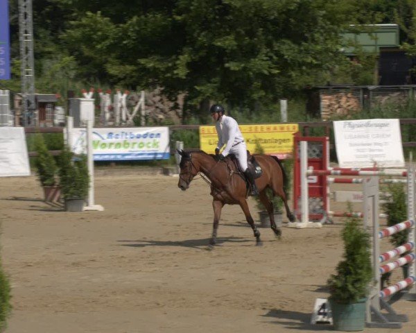 Reitturnier Schönfeld 2025
