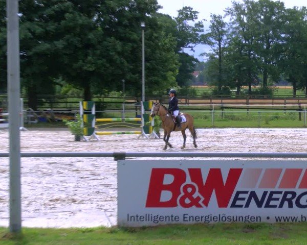 Reitturnier Coesfeld/Lette 2025
