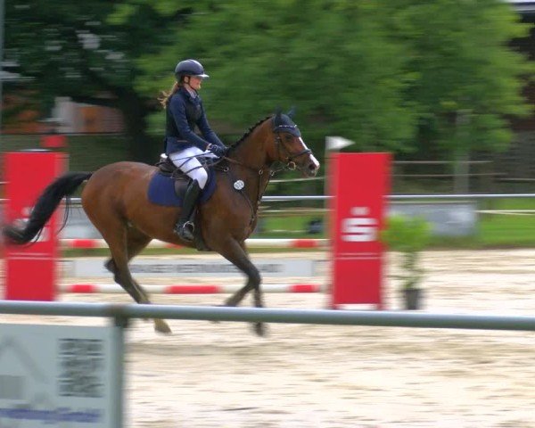 Reitturnier Coesfeld/Lette 2025