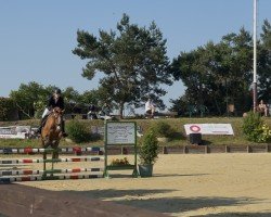 Springpferd Caribians Calle-Cool (Deutsches Reitpony, 2015, von Caribian Dance)