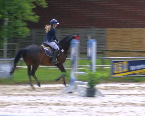 Reitturnier Coesfeld/Lette 2025