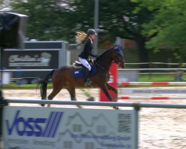 Reitturnier Coesfeld/Lette 2025