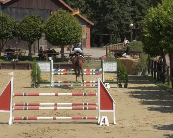 Reitturnier Schönfeld 2025