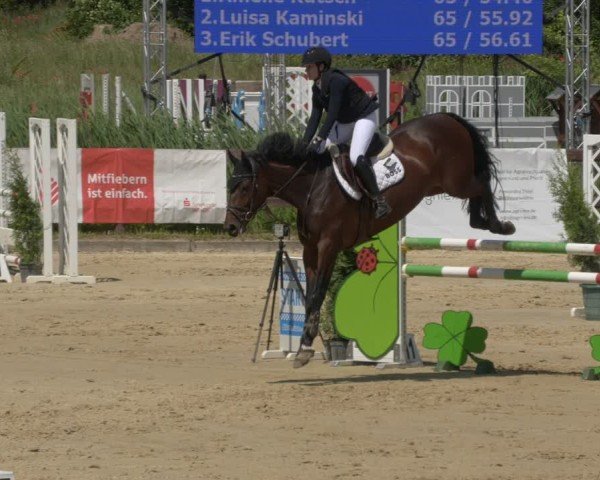 Reitturnier Schönfeld 2025