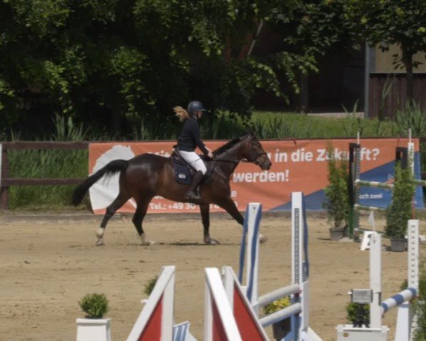 Reitturnier Schönfeld 2025