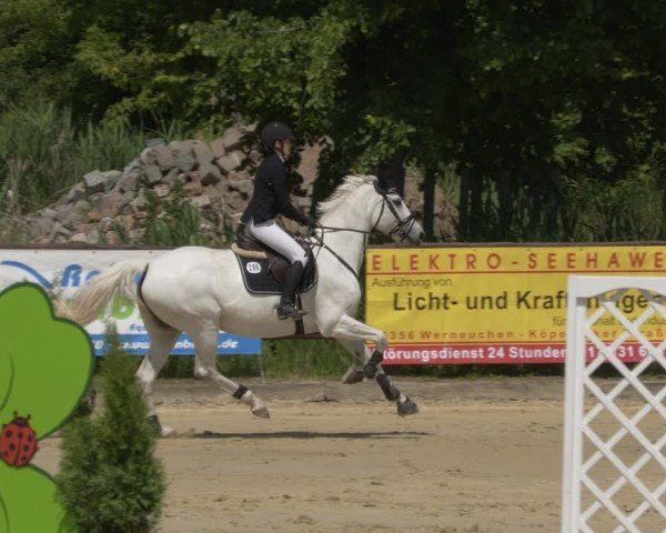 Reitturnier Schönfeld 2025