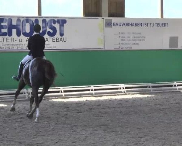 Walldorf 2014
