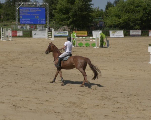Reitturnier Schönfeld 2025