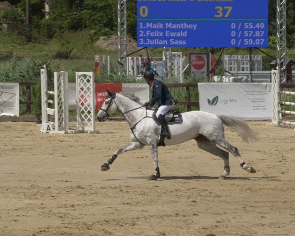 Reitturnier Schönfeld 2025