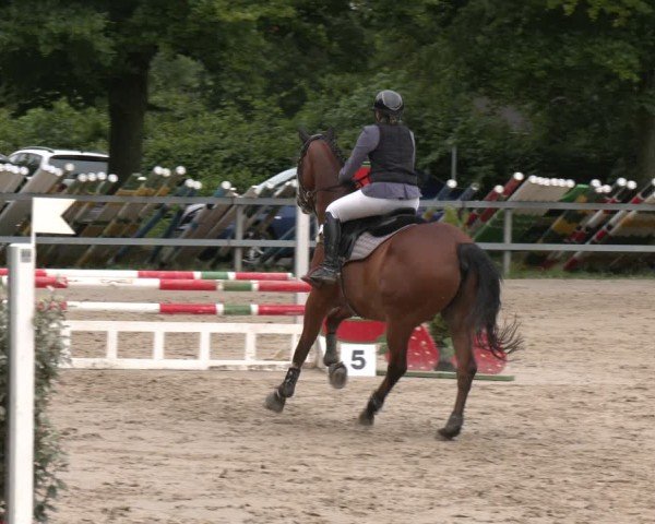 Reitturnier Letmathe 2025