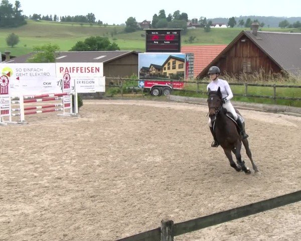 Reitturnier Ruswil 2025