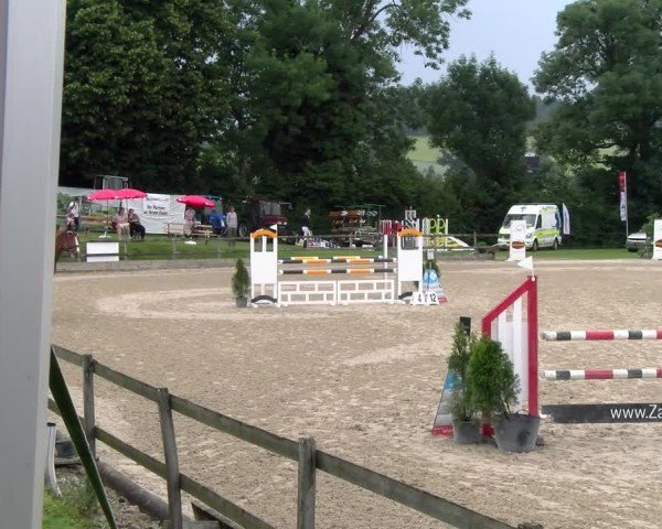Reitturnier Ruswil 2025