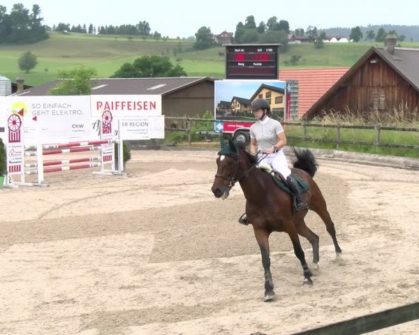 Reitturnier Ruswil 2025