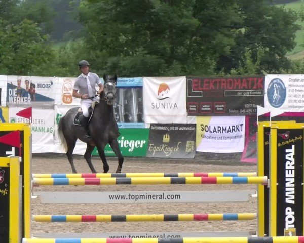 Reitturnier Ruswil 2025