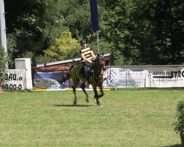 Reitturnier Lengenfeld/Vogtl. 2025