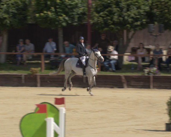 Reitturnier Schönfeld 2025
