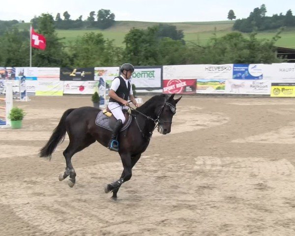Reitturnier Ruswil 2025