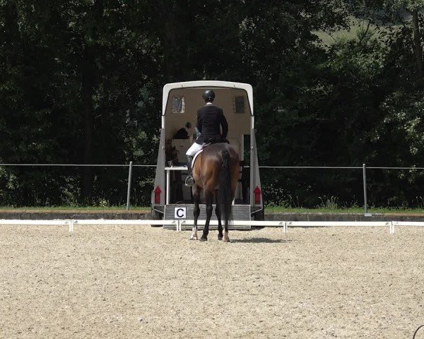 Reitturnier Maienfeld 2025