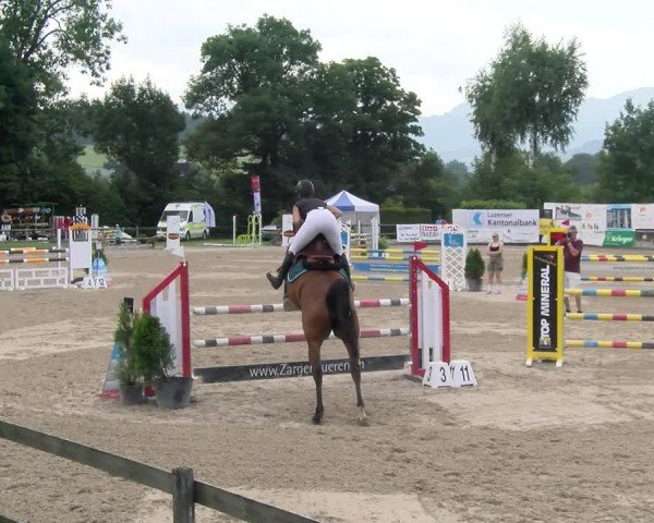 Reitturnier Ruswil 2025