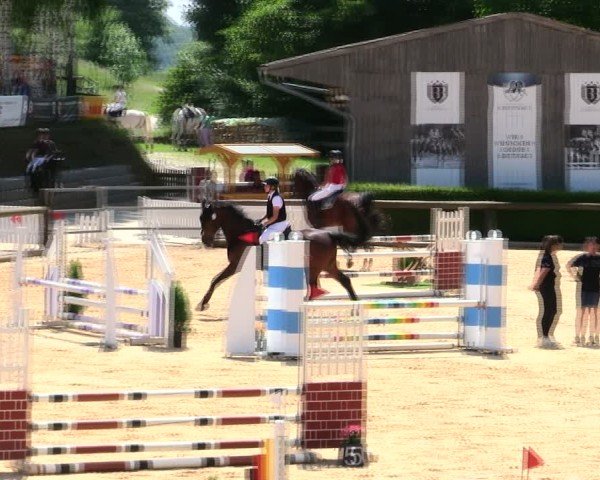 Reitturnier Berching/Opf. 2025