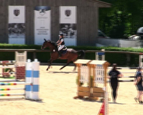 Reitturnier Berching/Opf. 2025