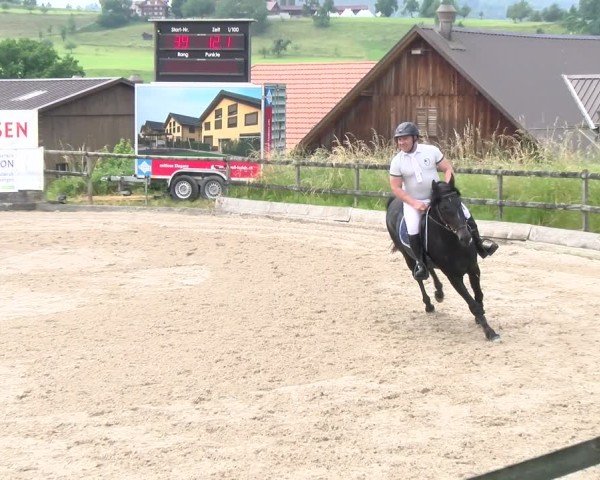 Reitturnier Ruswil 2025