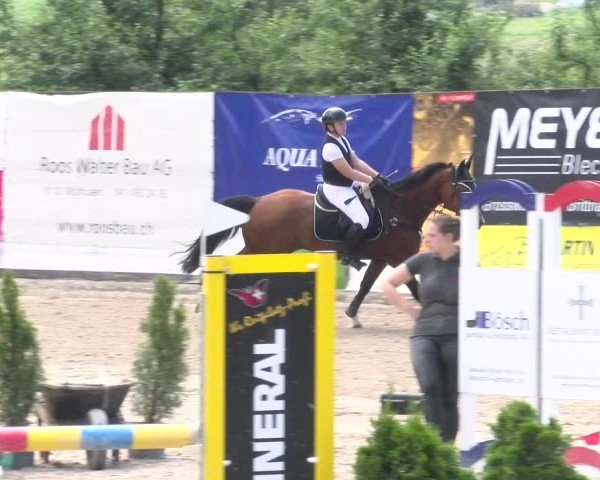 Reitturnier Ruswil 2025