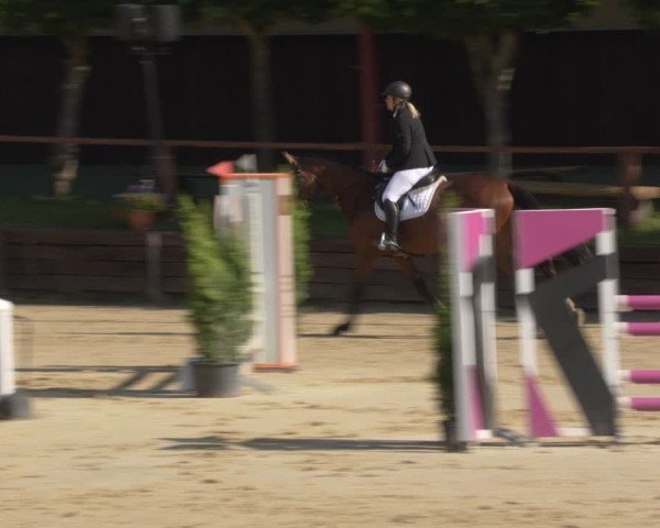 Reitturnier Schönfeld 2025