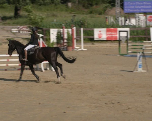 Reitturnier Schönfeld 2025