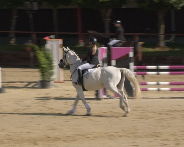 Reitturnier Schönfeld 2025