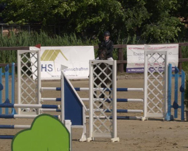 Reitturnier Schönfeld 2025
