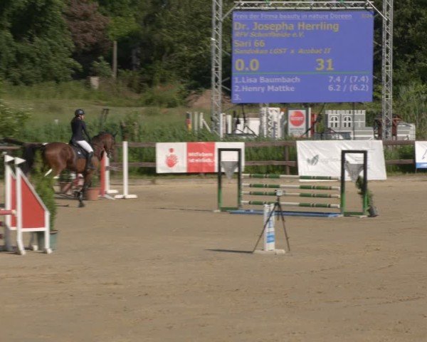 Reitturnier Schönfeld 2025