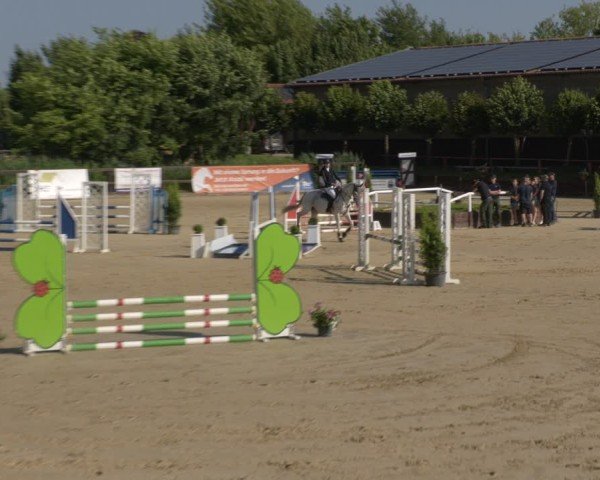 Reitturnier Schönfeld 2025