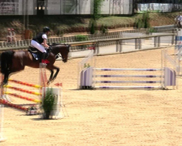 Reitturnier Berching/Opf. 2025
